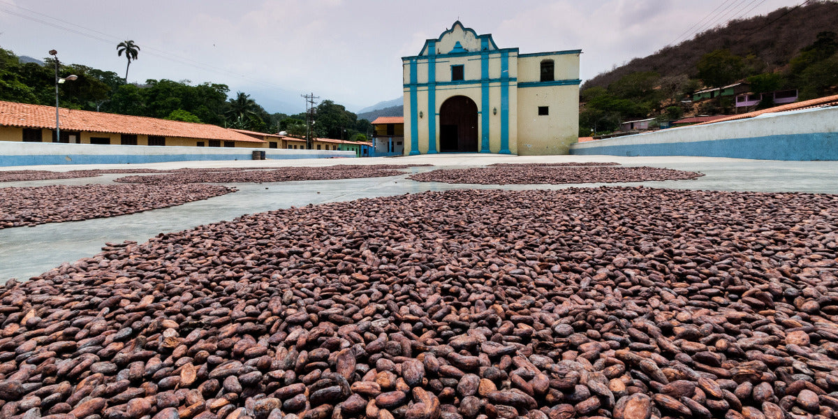 cioccolato chuao enrico rizzi