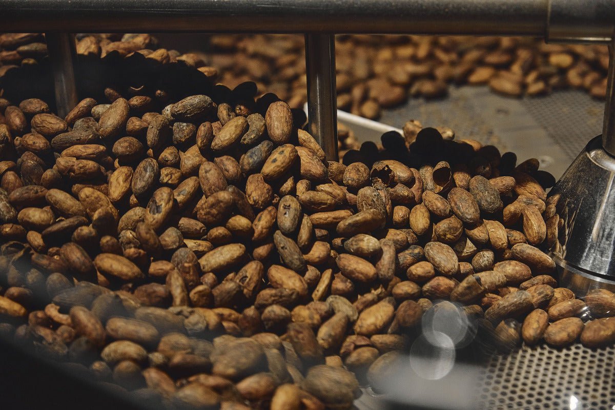 fabbrica del cioccolato Enrico Rizzi