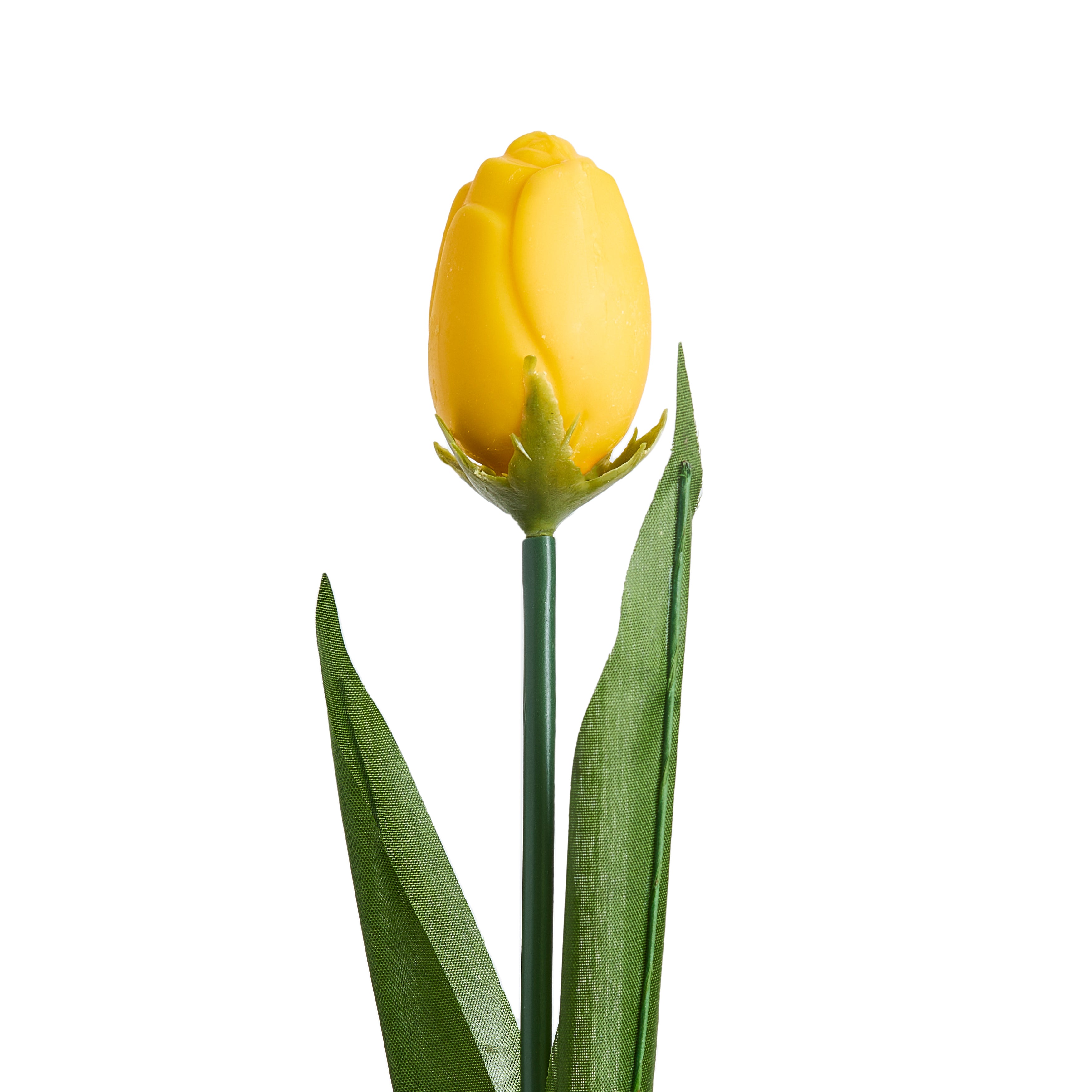 Cappelliera 15 tulipani