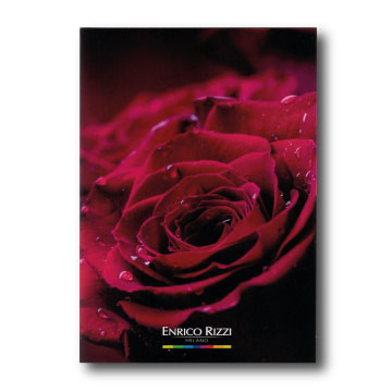 Red Rose Gift Card